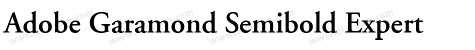 Adobe Garamond Semibold Expert字体转换